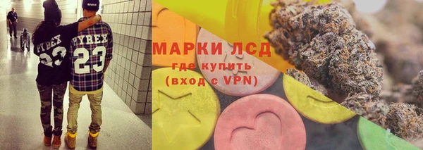 прущие крисы Апатиты