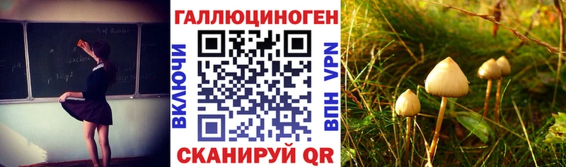 купить наркотики цена  Злынка  Галлюциногенные грибы GOLDEN TEACHER 