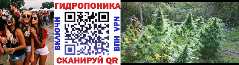 Марихуана Ganja  blacksprut зеркало  Злынка 